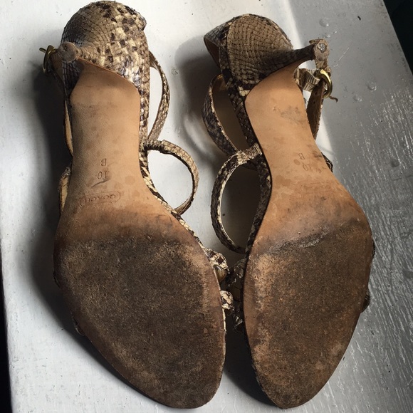 Coach Hayden Snakeskin Heel Sandal - Picture 7 of 8